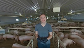 The Finishing Barn: Pig Farming VR Experience