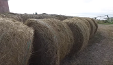 100,000 POUNDS OF HAY IN 3 HOURS