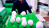 Meet REAL Ontario Egg Farmers - The Laver Family
