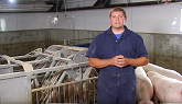 Using Electronic Sow Feeders in Gestation