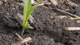 Farm Basics - What is Compaction?
