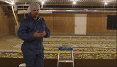 Broiler Management Best Practices: Chick Weight