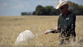 Herbicide Resistance Testing