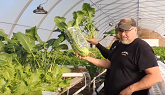 HYDROPONIC KOHLRABI TRIAL HARVEST RES...