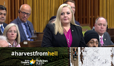 #HarvestFromHell - CPC keeps up the pressure in Question Period