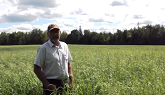 Dairy Producer Ron Toonders Discusses his New RC Chippewa Switchgrass Field
