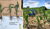 Using Nutrisorb 2.0 on Field Corn
