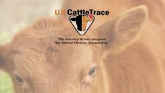 U.S. CattleTrace