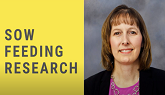 Sow feeding and research: Do’s and Don’ts - Dr. Laura Greiner