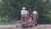Orchard Hill - Horse-powered Organic Farm Part 2 - Horse Drawn Farming Implements