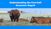 Cow-Calf Economic and Physical Performance Report