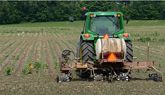 GrainTALK Webinar: Nitrogen Management in Corn