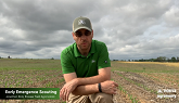 Tips for Scouting Corn Emergence