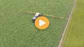 Corn Fungicides Applications