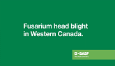 BASF | Fusarium Head Blight in Wester...