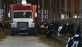 The Threat of Mycotoxins - Mycotoxin Management Solutions