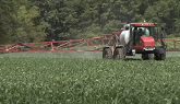 Fungicide Applications: Optimizing fo...