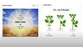 Crop Development: Soybean V3 Growth Stage