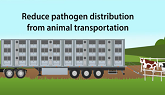 Improving Biosecurity and Welfare of Animals During Transportation