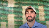 The importance of knowing your soybean herbicide system