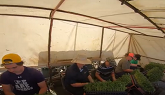 Planting Tomatoes with Dave Studnicka