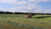 HITTING THE HAY! How we cut hay for s...
