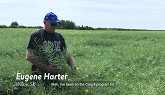 Cargill Specialty Canola Grower Testimonials - Windy Poplar Farms & Hartter