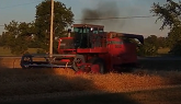 Massey 850 Combine Harvesting Wheat