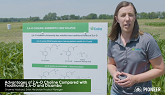 Advantages of 2,4-D Choline Compared with Traditional 2,4-D and Dicamba