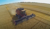 RME: Rick Harvests Wheat