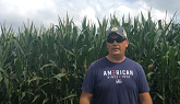 Corn Fungicide Application: Determining The Best Time To Apply