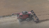 Winter Canola Harvest 2020