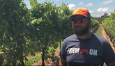 #BetweenTheVines - Episode 2: Innovation with Aaron Oppenlaender