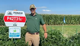 Pioneer® brand Enlist E3® soybean varieties: Field Observations