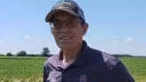 Alfalfa Growth Stages for on-farm Decisions