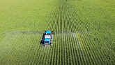 Spraying for Western Bean Cutworm -- New Holland SP275F