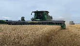 Wheat Harvest 2020 Feat. Hessels Farm Dunnville Ontario
