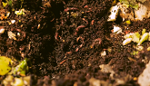 "The Wormery" Worm Composting Program from the Grove at Western Fair District