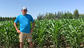 New Laudis Herbicide for Corn