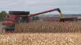 Farm Basics - Grain Bin Safety