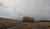Halling green feed bales in canada