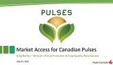 Webinar: Making Sure to Keep it Clean - How You Can Protect Market Access for Pulses