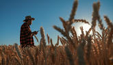 Speech From The Combine | Grain Growers of Canada