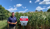 Pioneer Corn Line-up - What