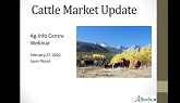 Cattle Market Update