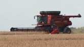 Grain Moisture At Harvest