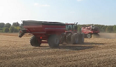 Soybean Harvest 2020 | Case IH 8240 Harvesting Soybeans