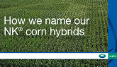 How we name our NK corn hybrids