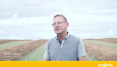 Why are canola seed treatments important?