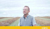 Where does blackleg rank when growers are choosing canola seed?